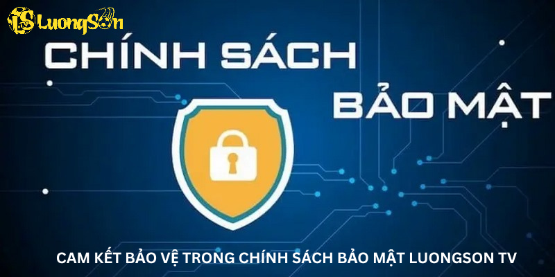 Cam kết bảo vệ trong chính sách bảo mật Luong son 